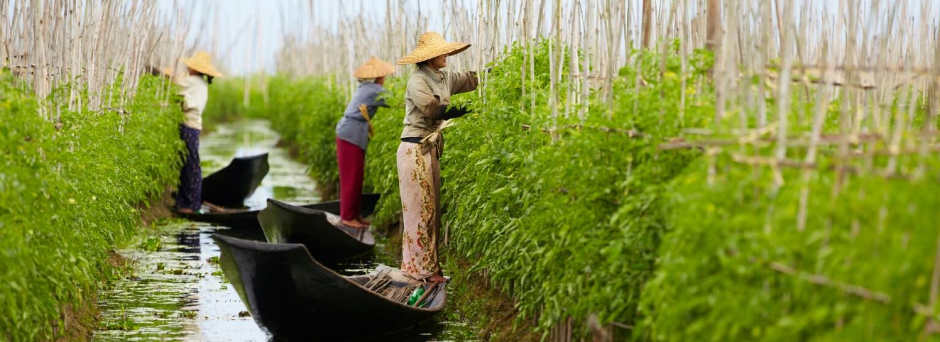 myanmar group tours 5